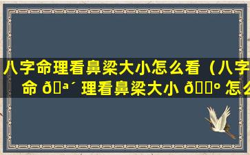 八字命理看鼻梁大小怎么看（八字命 🪴 理看鼻梁大小 🐺 怎么看图解）